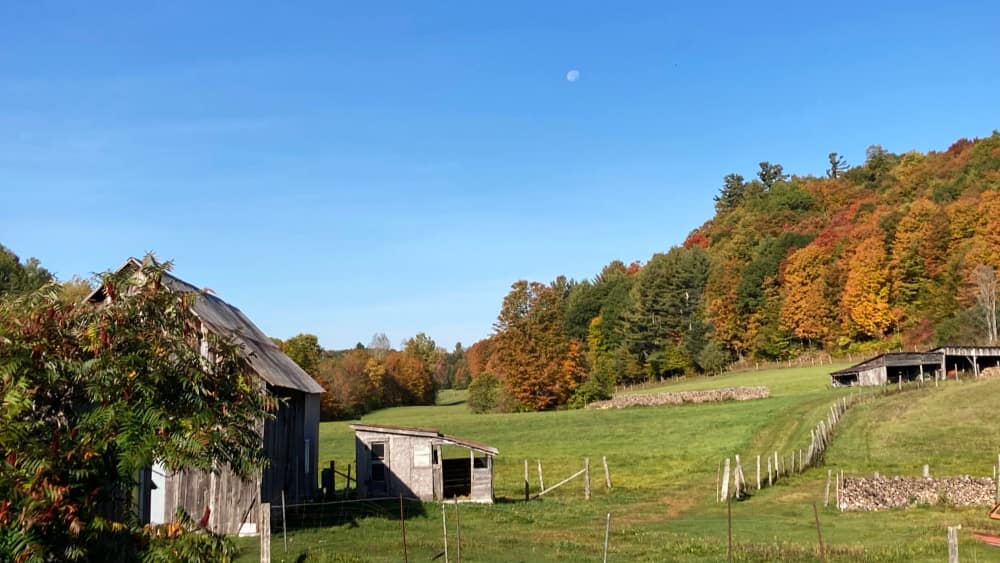 Depuis le Chalet de Ripon